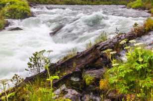 Deschutes River-3318.jpg